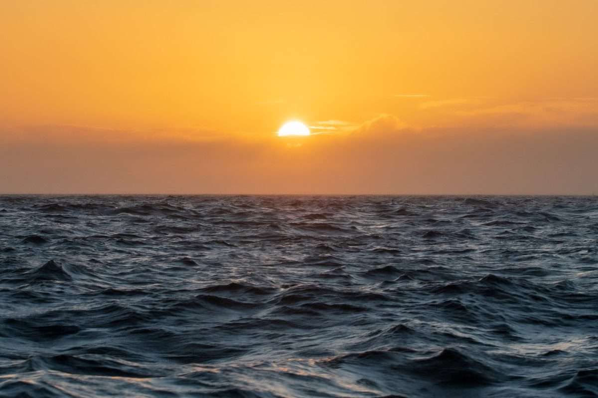 Round IRL with Wild West Sailing