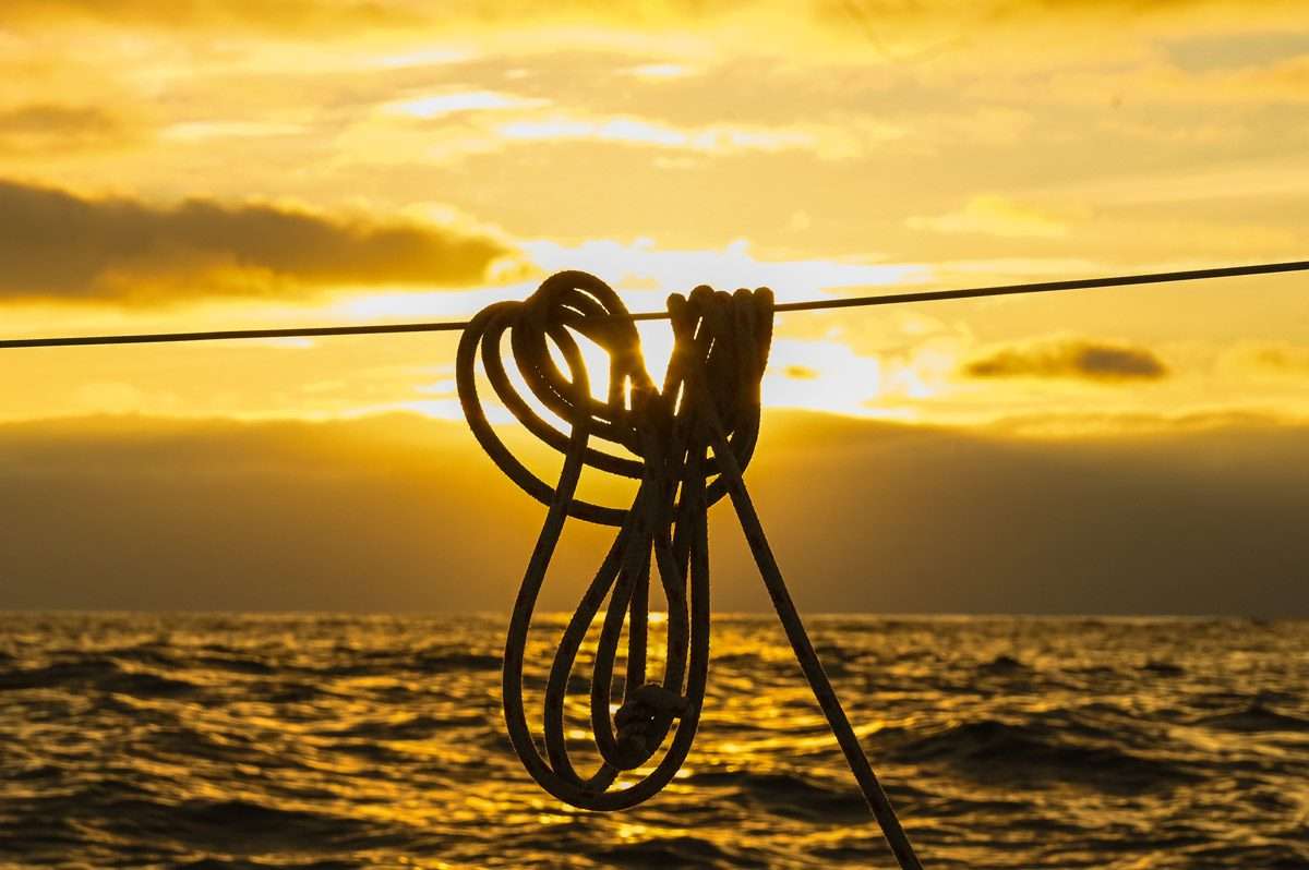 Round IRL with Wild West Sailing