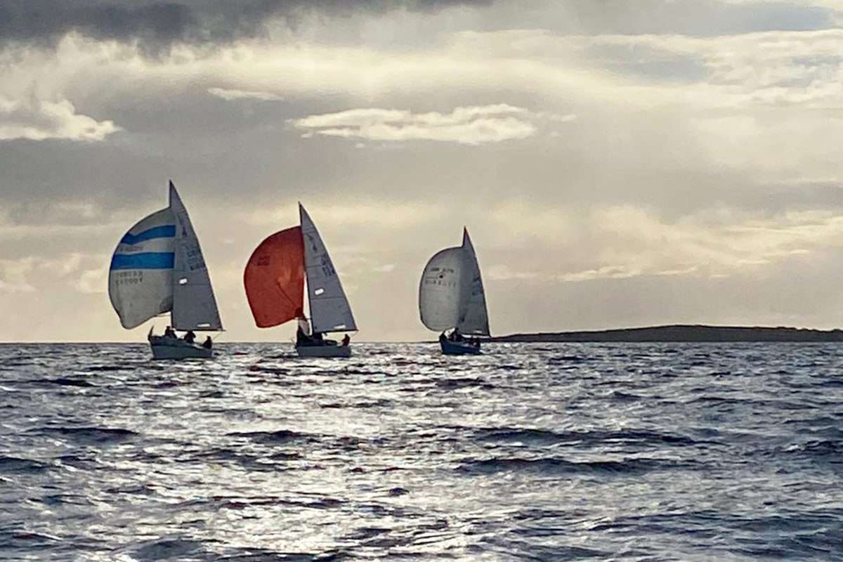 J24's with Wild West Sailing